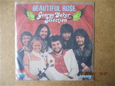 a0659 george baker selection - beautiful rose