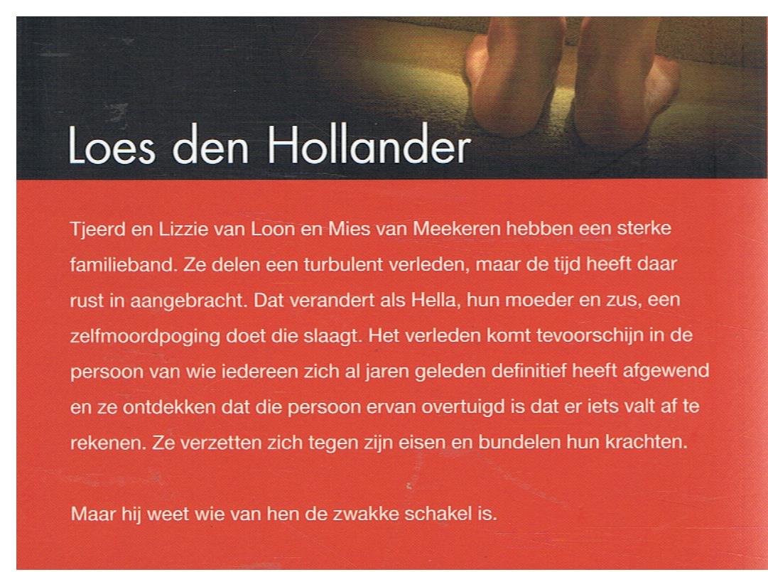 Loes den Hollander = Bodemloos - Afbeelding 2