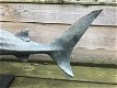 Zeer apart is deze haai op stand, zeer groot-haai - deco - 4 - Thumbnail