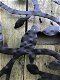 Wandornament levensboom , met vogels erin, mat zwart - 4 - Thumbnail