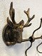 Kapstokrek metaal-brons look met 2 herten, zeer apart - 1 - Thumbnail