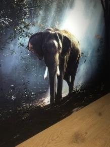 Prachtige kunst op glas een olifant in een bos,echt heel mooi