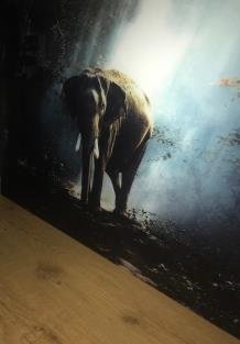 Prachtige kunst op glas een olifant in een bos,echt heel mooi - 1