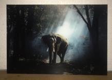 Prachtige kunst op glas een olifant in een bos,echt heel mooi - 4