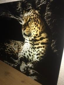 Prachtige kunst op glas van een luipaard , panter, heel mooi - 0