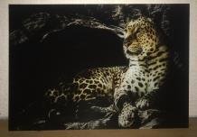 Prachtige kunst op glas van een luipaard , panter, heel mooi - 1