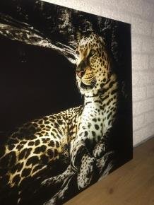 Prachtige kunst op glas van een luipaard , panter, heel mooi - 3