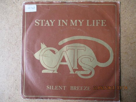 a0947 cats - stay in my life - 0
