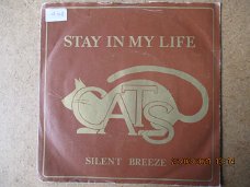 a0947 cats - stay in my life