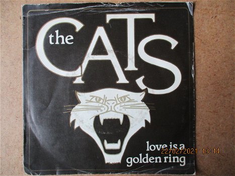 a0950 cats - love is a golden ring - 0