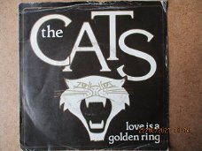 a0950 cats - love is a golden ring