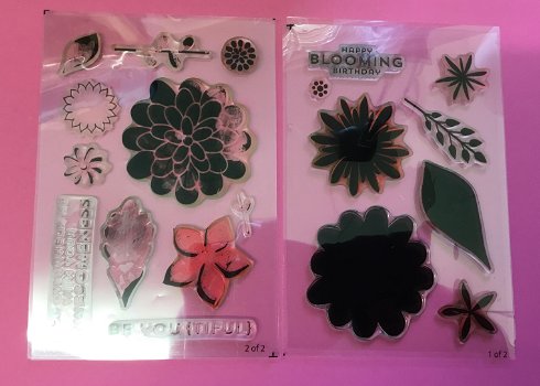Stempel Stampin Up Flower Patch met Flower Fair framelits dies - 1