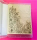 Stempel Stampin Up Corner Garden - 1 - Thumbnail