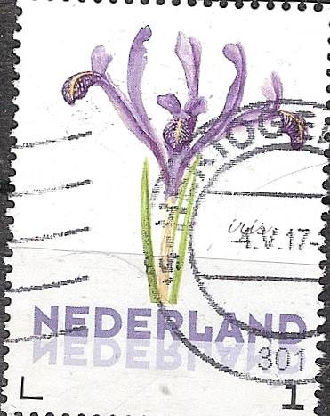 nederland 290 - nr. 1