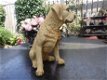Golden Retriever hondenbeeld - 3 - Thumbnail