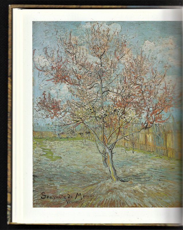 VAN GOGH 1853 - 1890 door Rainer Metzger. Uitg. Taschen - Afbeelding 3