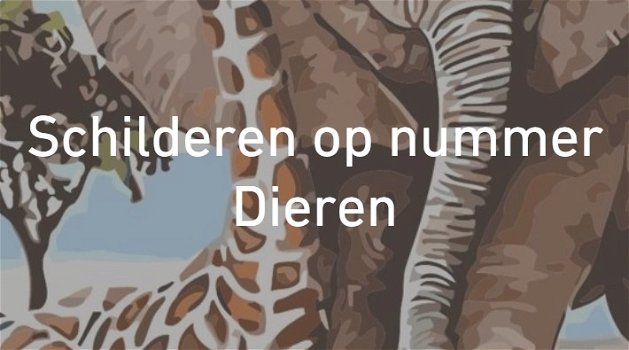 Schilderen op Nummer Dieren - 0