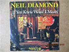a1249 neil diamond - if you know what i mean