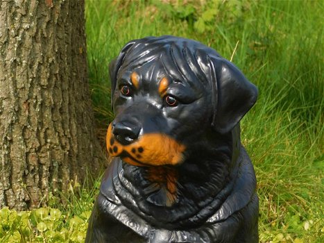 Prachtig polystonen beeld van rottweiler-hond -beeld-kado - 1