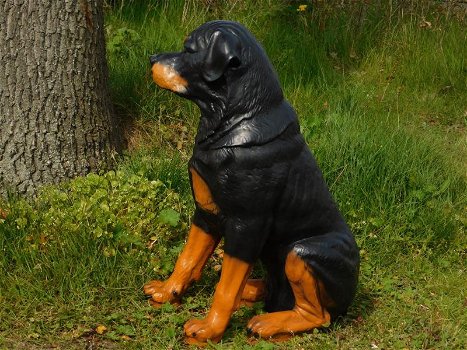 Prachtig polystonen beeld van rottweiler-hond -beeld-kado - 3