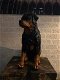 Prachtig polystonen beeld van rottweiler-hond -beeld-kado - 6 - Thumbnail