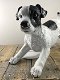 Prachtig beeld van een jack Russel, geweldig, hond - 2 - Thumbnail