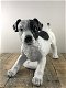 Prachtig beeld van een jack Russel, geweldig, hond - 5 - Thumbnail