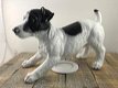 Prachtig beeld van een jack Russel, geweldig, hond - 6 - Thumbnail
