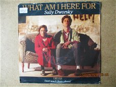 a1309 sally dworsky - what am i here for