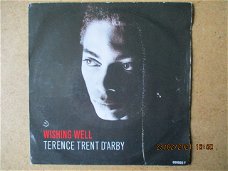 a1354 terence trent darby - wishing well