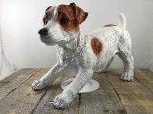 Mooi beeld van een Jack Russel, typisch speels beeld,kado - 0