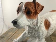 Mooi beeld van een Jack Russel, typisch speels beeld,kado - 1