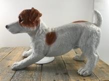 Mooi beeld van een Jack Russel, typisch speels beeld,kado - 2