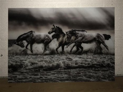Kunst op glas van paarden in water, prachtig , paard - 0