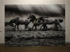 Kunst op glas van paarden in water, prachtig , paard