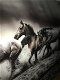 Kunst op glas van paarden in water, prachtig , paard - 3 - Thumbnail