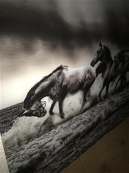 Kunst op glas van paarden in water, prachtig , paard - 4