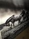 Kunst op glas van paarden in water, prachtig , paard - 4 - Thumbnail