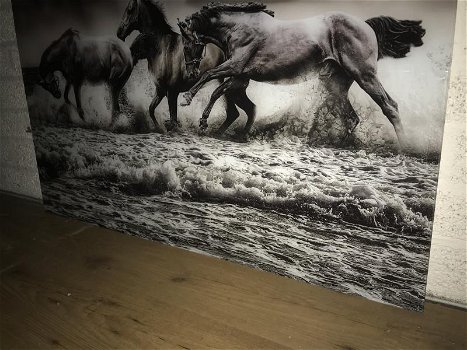 Kunst op glas van paarden in water, prachtig , paard - 5