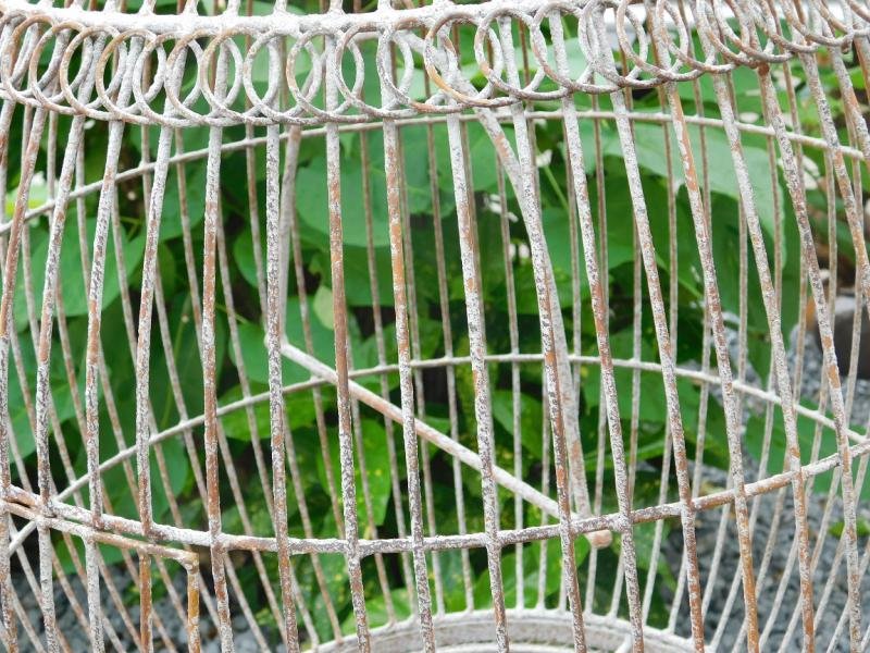Klassieke vogelkooi, antiek ogende bird cage op voet,vogel - Afbeelding 5