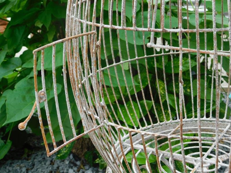 Klassieke vogelkooi, antiek ogende bird cage op voet,vogel - Afbeelding 6