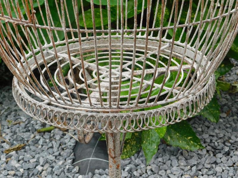 Klassieke vogelkooi, antiek ogende bird cage op voet,vogel - Afbeelding 7