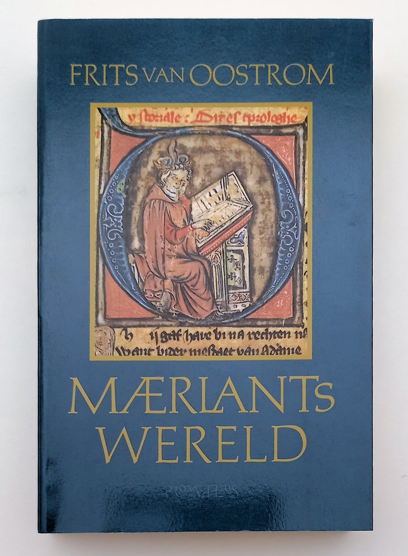 Maerlants Wereld PB Oostrom - 13e Eeuw Literatuur R11664 - Afbeelding 2