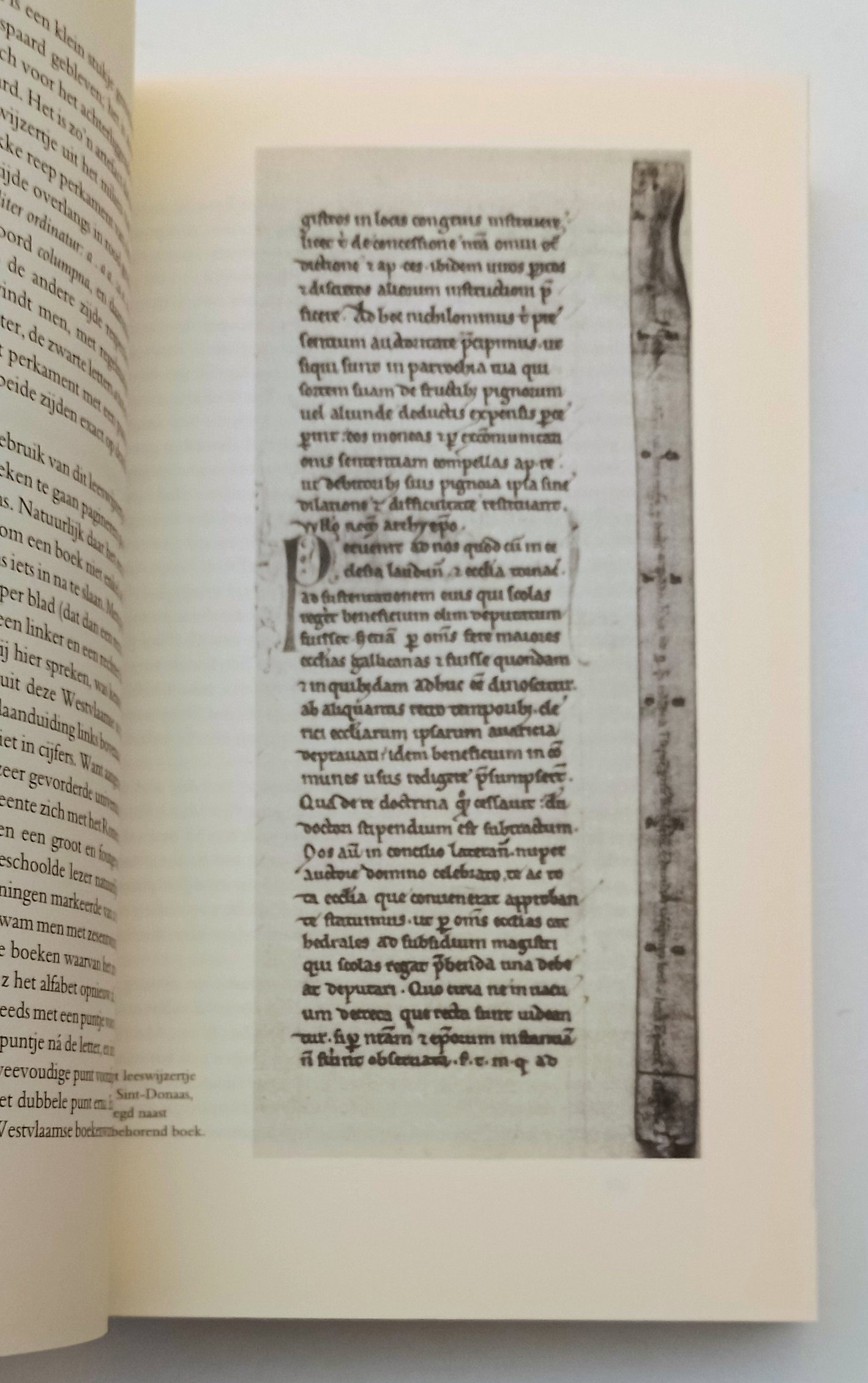 Maerlants Wereld PB Oostrom - 13e Eeuw Literatuur R11664 - Afbeelding 4