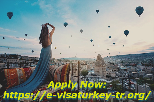 Turkey visa application - 0