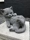 Beeld van een spelende kat - poes,steen, heel leuk- kado - 5 - Thumbnail