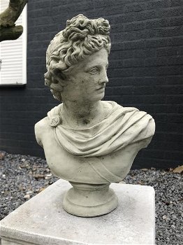 Buste van Apollo, mannelijke buste, sculptuur figuur van Apollo - 2