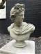 Buste van Apollo, mannelijke buste, sculptuur figuur van Apollo - 2 - Thumbnail