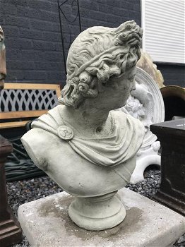 Buste van Apollo, mannelijke buste, sculptuur figuur van Apollo - 4