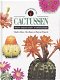 Cactussen (Identificeren van) - 0 - Thumbnail